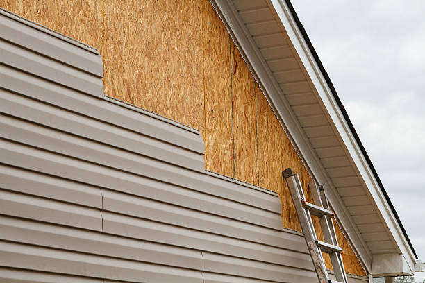 Best Storm Damage Siding Repair  in Fox Lake, IL